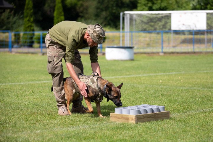 A sapper dog. (Source: Public relations service of the Support Forces Command) A sapper dog. (Source: Public relations service of the Support Forces Command)