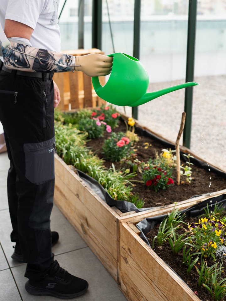 The Superhumans Center for War Trauma garden, where anyone can plant something.  (Source: Artan)