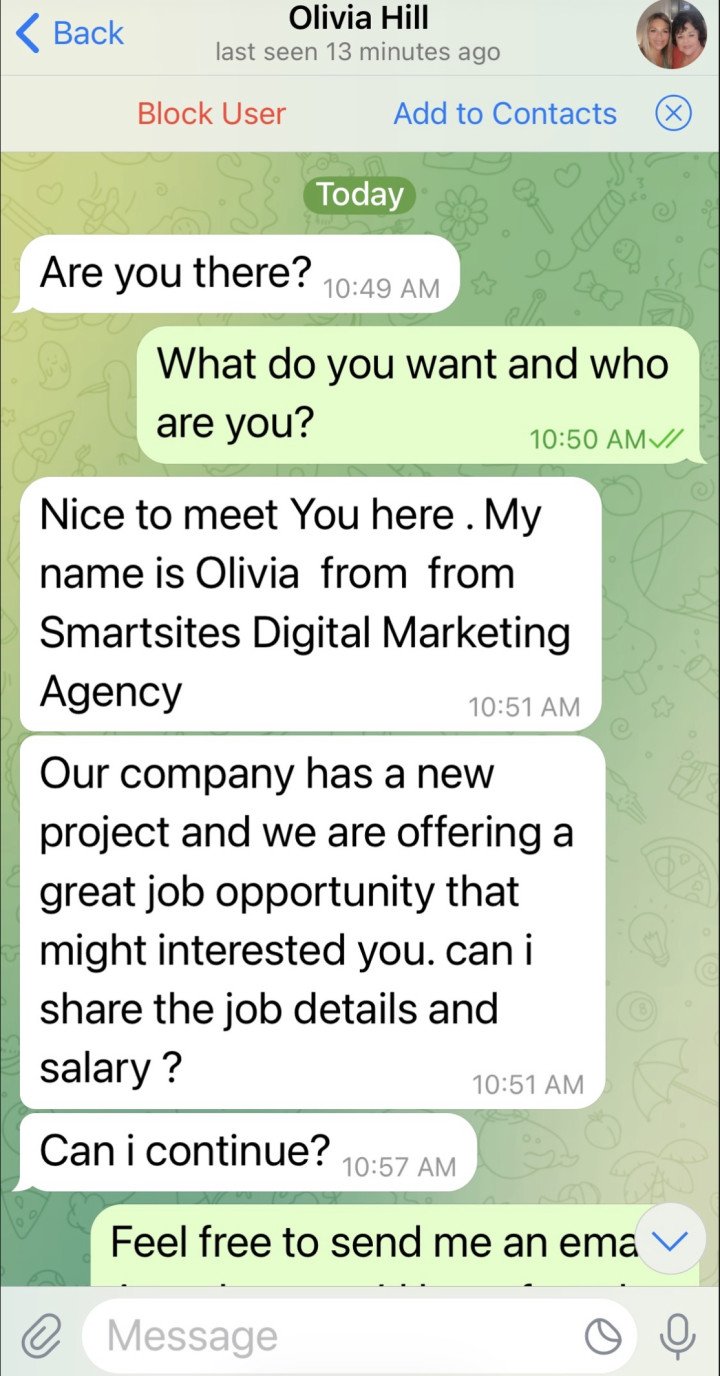 Fake job offer sent in a private Telegram chat. (Source: ArtLung) Fake job offer sent in a private Telegram chat. (Source: ArtLung)