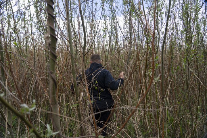 Serhii Volyk, the local sheriff from Malokaterynivka in the Zaporizhzhia region, makes his way through the dense willow forest that now grows on the former reservoir bed. Photo: Oleksii Filippov (Instagram: @filippov_af) Serhii Volyk, the local sheriff from Malokaterynivka in the Zaporizhzhia region, makes his way through the dense willow forest that now grows on the former reservoir bed. Photo: Oleksii Filippov (Instagram: @filippov_af)