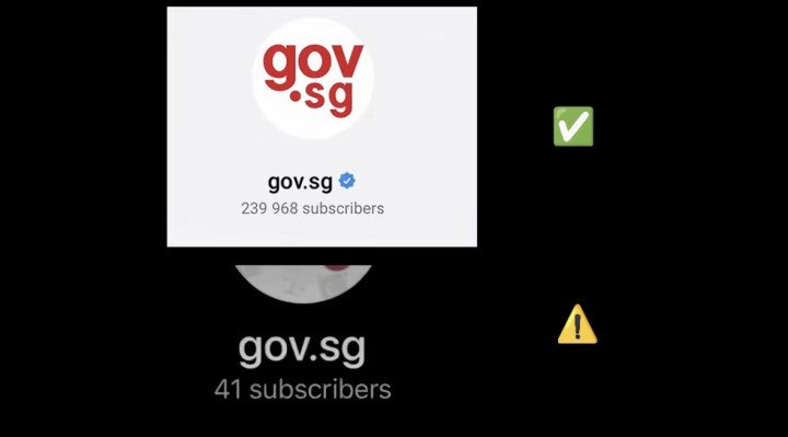 The official Telegram channel (top) of the communication platform of the Singapore Government and a fake account impersonating it (bottom). (Source: AsiaOne) The official Telegram channel (top) of the communication platform of the Singapore Government and a fake account impersonating it (bottom). (Source: AsiaOne)