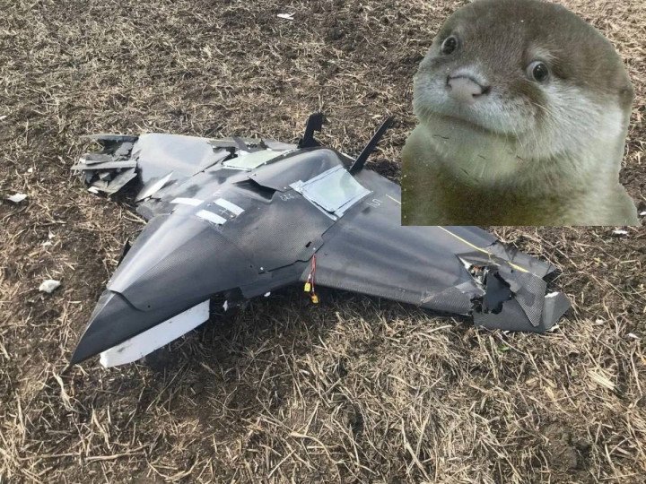 Nyan attack drone operated by Ukraine’s Defense Forces. (Source: Oko Gora) Nyan attack drone operated by Ukraine’s Defense Forces. (Source: Oko Gora)