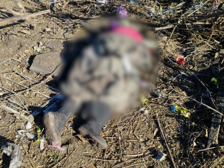 Russian airstrike killed a woman who was visiting her son’s grave. (Source: Suspilne Sumy) Russian airstrike killed a woman who was visiting her son’s grave. (Source: Suspilne Sumy)