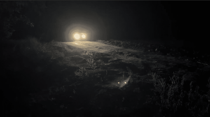 Headlights from our vehicle driving through Kherson’s farm fields. (Source: UNITED24 Media/ Audrey MacAlpine) Headlights from our vehicle driving through Kherson’s farm fields. (Source: UNITED24 Media/ Audrey MacAlpine)