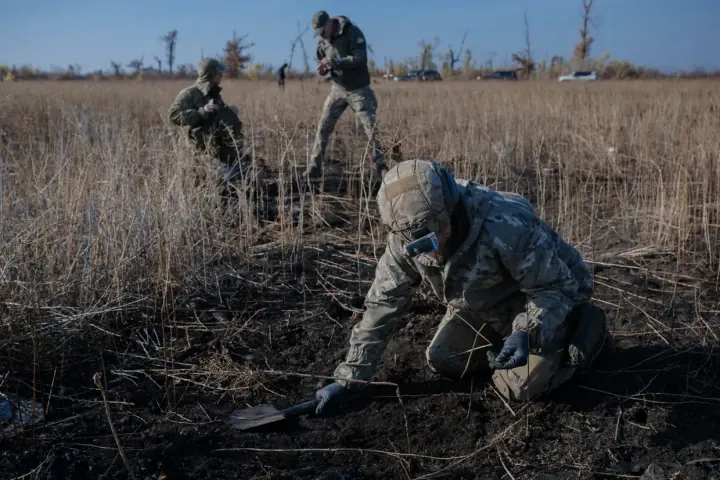 Miembros de la organización de voluntarios Platsdarm buscan los restos de soldados ucranianos caídos cerca de Sulyhivka, en la provincia de Kharkiv, el 22 de octubre de 2024. (Viacheslav Ratynskyi/The Kyiv Independent)