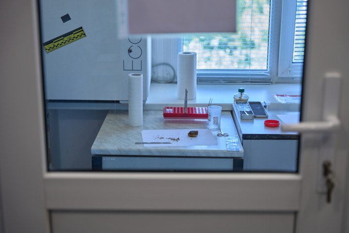 To work with bone tissue, all remnants of other tissues must first be cleaned. Photo: Mykyta Shandyba/ UNITED24 Media