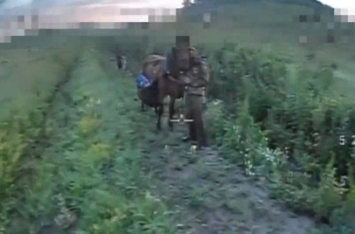 Russian soldier seen alongside a horse during a reported cavalry operation in occupied Ukraine, captured moments before a Ukrainian drone strike. (Source: Defence Blog) Russian soldier seen alongside a horse during a reported cavalry operation in occupied Ukraine, captured moments before a Ukrainian drone strike. (Source: Defence Blog)