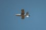 Last Shadow T200 interceptor drone. (Source: Technological Forces of Ukraine)