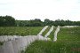 Concrete anti-tank barriers of the East Shield fortifications are seen along the Polish-Russian border near Asuny on May 23, 2026, amid the Russian invasion of Ukraine.