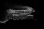 Destroyed Russian infantry fighting vehicle.