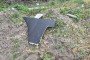 Remains of a Russian unmanned aerial vehicle lie on the ground on a farm on August 25, 2026 in Sumy region, Ukraine. Illustrative photo. (Source: Getty Images)