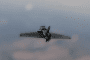 Russian Gerbera-2 drone. Illustrative photo. (Source: Wild Hornets)