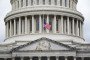 A US flag flies at half-staff over the US Capitol following the death of Senator Lindsey Graham in Washington, DC, on July 12, 2026. (Source: Getty Images)