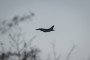Ukrainian Air Force F-16 jet. (Source: Getty Images)