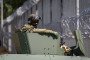 The Many Ways Russia Is Waging Hybrid War in Poland