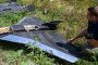 A Ukrainian specialist examines the wreckage of Russian Gerbera drones recovered after attacks on Ukraine. Illustrative photo