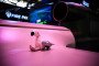 Ukraine's FP-5 Flamingo cruise missile displayed at the Eurosatory defense exhibition near Paris, June 2026. (Source: Getty Images)