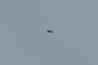 A Russian Iranian-designed Shahed drone spotted flying above a town of Călărași in central Moldova. (Source: open source)