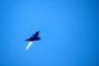 A JAS 39 Gripen C/D fighter aircraft takes off from Lulea-Kallax Airport, Sweden, during the NATO Nordic Response 24 military exercise on March 4, 2024.