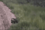 Ukrainian ground robot with Wolly 7,62 remotely operated weapon station landing on the Russian-held Kinburn Spit, July 13, 2026.