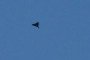 Illustrative image. A Russian drone flies during drone and missile strikes in Kyiv on September 7, 2025, amid the Russian invasion of Ukraine. (Source: Getty Images)