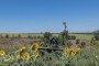 Ukrainian soldiers train with armed ground robots at an undisclosed location in the Donetsk region, Ukraine, on September 3, 2025.