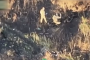 Drone Footage Reveals Russian Soldiers Mutilating Dead Body