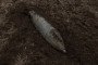 An unexploded Russian guided bomb lies in a field in Ukraine’s Dnipropetrovsk region, January 30, 2025. (Source: Getty Images)