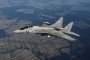 MiG-29. (Source: Getty Images)