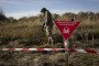 Veterans during field training in searching for training mines on October 30, 2025 in Kyiv region, Ukraine. (Source: Getty Images)