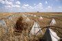 A combine harvester collects grain near anti-tank obstacles and barbed wire in a field close to front-line Orikhiv, Zaporizhzhia region, Ukraine, July 8, 2025. (Photo: Getty Images)