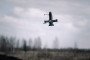 Skyfall P1-Sun FPV interceptor drone during test flight at an undisclosed location in Ukraine. (Source: Getty Images)