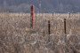 A Belarussian border post is seen behind a barbed wire fence as Poland's Prime Minister inspects the border fence and infrastructure in Ozierany Male, eastern Poland, on March 22, 2025. Illustrative photo. (Source: Getty Images)