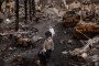 People walk through debris and destroyed Russian military vehicles on a street on April 06, 2022 in Bucha, Ukraine. (Source: Getty Images)