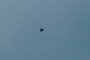A Shahed-type drone flies in the sky. (Source: Getty Images)