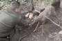Ukrainian border guards rescue a roe deer caught in an anti-drone net. (Source: Striks strike unmanned aerial systems unit of the 4th Border Detachment)