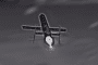 Still from footage showing a Geran-5 being downed by a STING S interceptor. (Source: Wild Hornets)