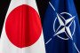 Japanese and NATO flags together.
