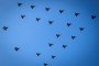 Illustrative image. Fighter jets fly in Christmas tree formation over Copenhagen and the Oeresund region on December 16, 2025. (Source: Getty Images)