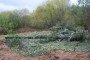 Illustrative image. A camouflaged Russian T-80BV tank somewhere in Ukraine.