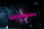 Illustrative image of a cyberattack targeting Russian e-commerce platform Wildberries. (Source: HUR)