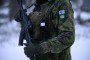 Finnish Government Moves to Reinstate Anti-Personnel Mines to Boost Defense Capabilities