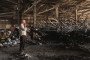 Your Favorite Books Are Being Bombed by Russia—13 Million Copies Burned in Ukraine