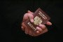 A man holds his Russian passport. Illustrative image. (Source: Getty Images)