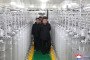 North Korean leader Kim Jong Un during the visit to the nuclear materials production facility. (Source: KFA-UK/X)