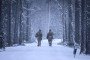 Finland to Increase Defense Spending to 3% of GDP by 2029