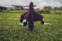 Russian VTOL interceptor drone during tests. (Source: NPTs BASiRTK)