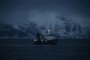A trawler fishing for herring in the fjord of Skjervoy, northern Norway, as orcas and humpback whales hunt nearby during winter migration. Illustrative photo. (Source: Getty Images)
