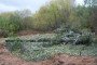 Illustrative image. A camouflaged Russian T-80BV tank somewhere in Ukraine. (Source: Reddit)