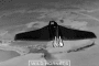 Russian attack drone moments before being downed by a Ukrainian Sting drone, May 13, 2026. (Source: Wild Hornets)